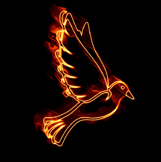 Pfingsten kam der Heilige Geist auf die Jünger herab. Die Taube ist das Symbol für den Heiligen Geist.